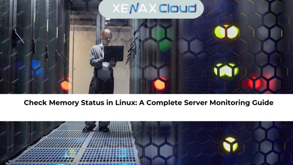 Check Memory Status in Linux