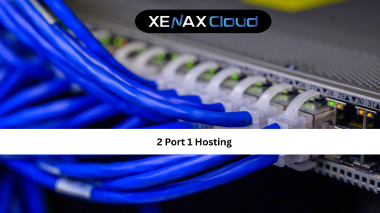 2 Port 1 Hosting: A Complete Guide to Affordable and Flexible Web Hosting