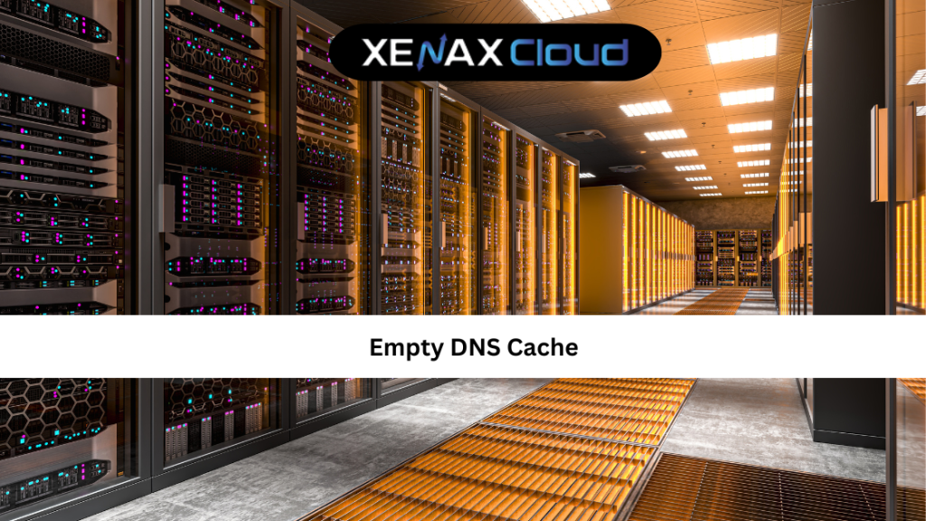 Empty DNS Cache