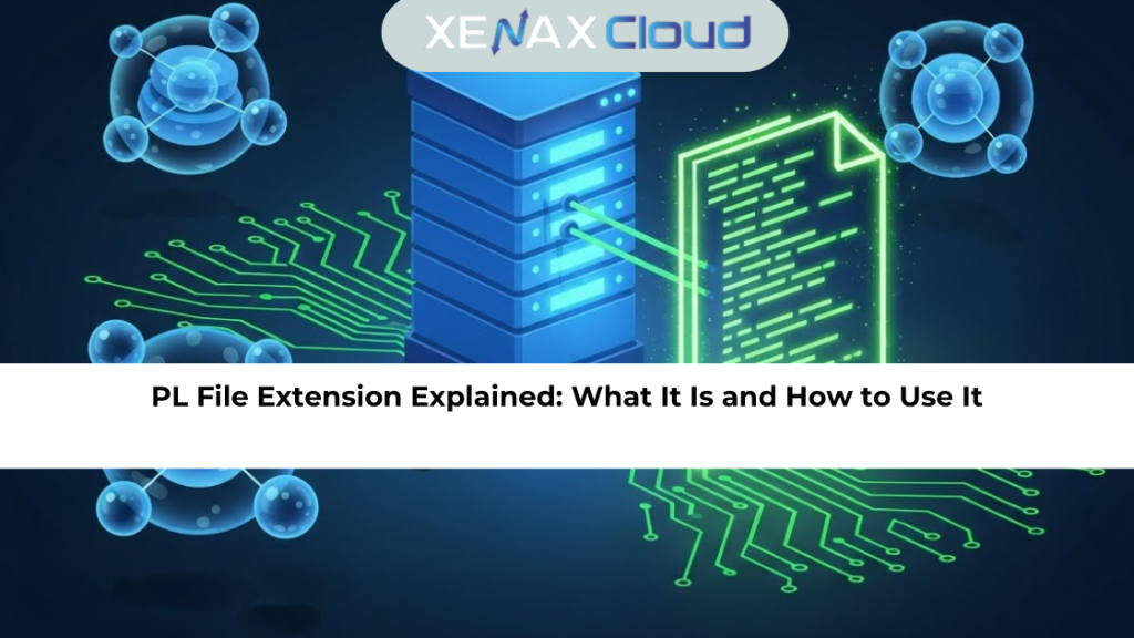 PL File Extension Explained