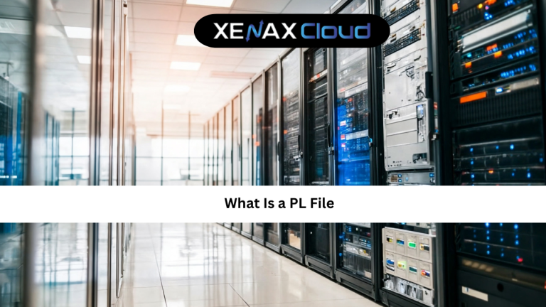 What Is a PL File? Complete Guide for Beginners