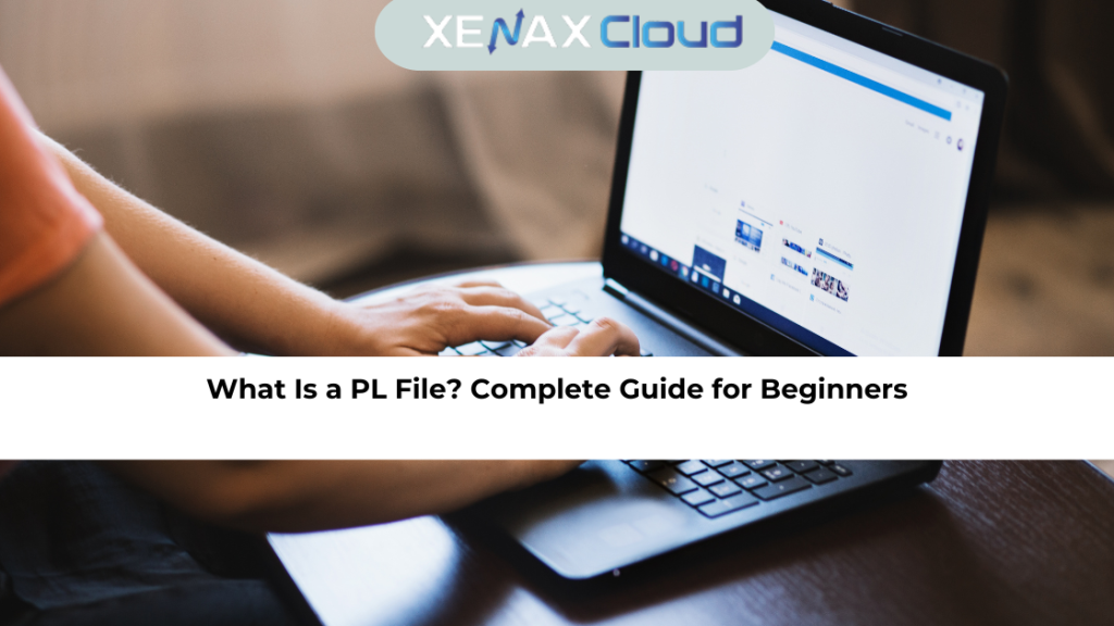 What Is a PL File