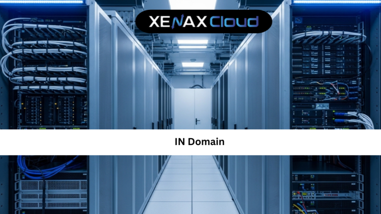 IN Domain: Complete Guide for Smart Online Branding