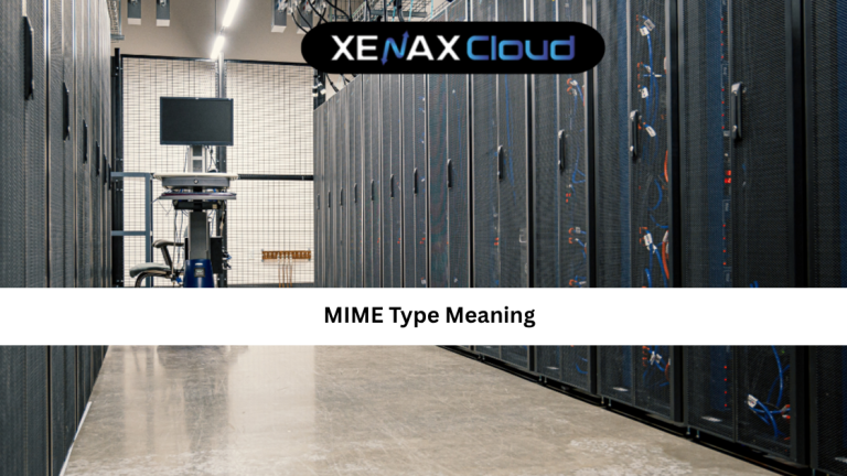 MIME Type Meaning: A Complete Guide to Internet File Types