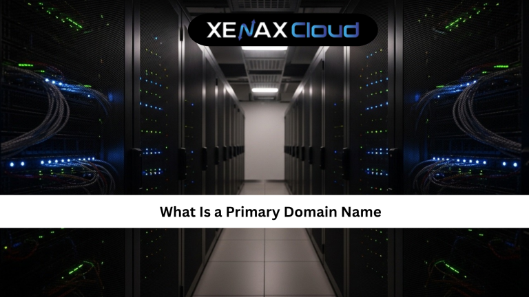 What Is a Primary Domain Name? Complete Guide
